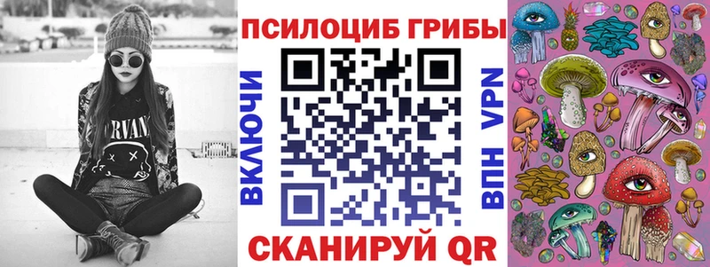 Псилоцибиновые грибы ЛСД  Купить где  Луза 